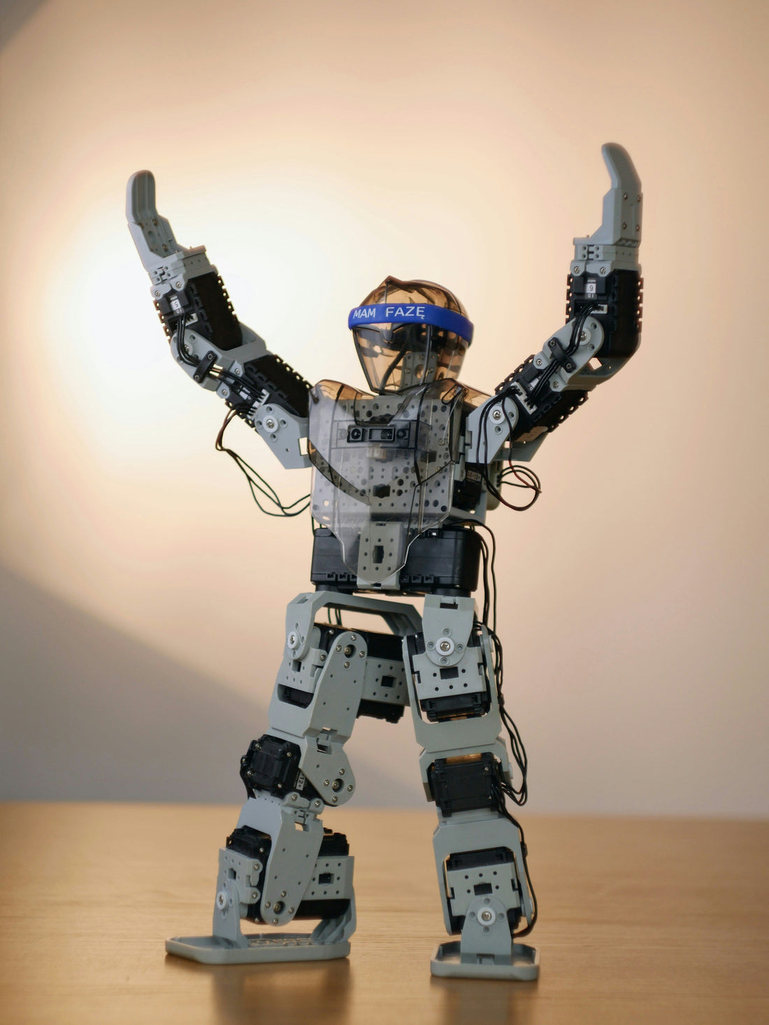 The Runaway Robot